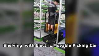 電動ピッキングソリューションを備えたスマートマルチレベル棚システム